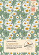 Chamomile Infusion